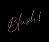 Blush! Beauty Salon