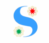 PT. Sinergi