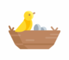 Sarang Burung Walet Banyumanik
